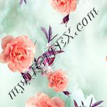 Colour:B