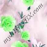 Colour:C