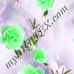 Colour:D