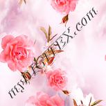 Colour:J