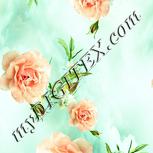 Colour:K