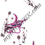 Colour:B