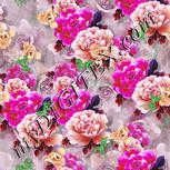 Colour:B