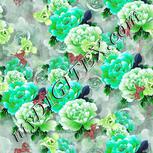 Colour:C