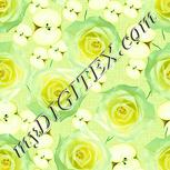 Colour:K