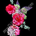Colour:B