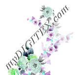 Colour:C