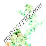 Colour:K