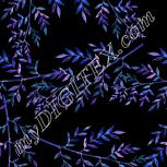 Colour:F