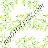 Colour:K