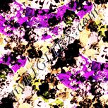 Colour:J