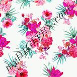 Colour:B