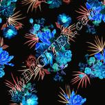 Colour:F