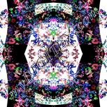 Colour:F