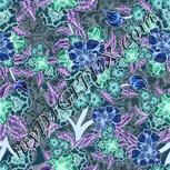 Colour:F