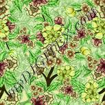 Colour:K