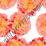 Colour:J
