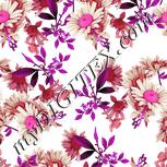 Colour:B