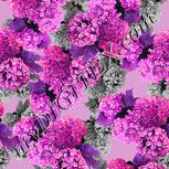 Colour:B
