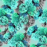 Colour:C