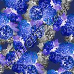 Colour:F