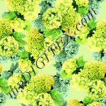 Colour:K