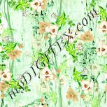 Colour:K