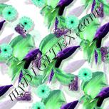 Colour:B