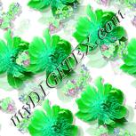 Colour:C