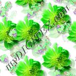Colour:D