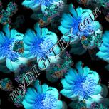 Colour:F