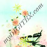 Colour:K