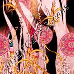 Colour:J