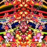 Colour:J