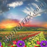 Colour:A