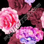 Colour:J