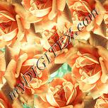 Colour:K