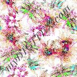 Colour:C