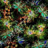 Colour:F