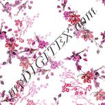 Colour:B