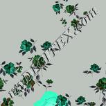 Colour:F