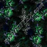 Colour:F