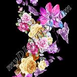 Colour:A