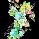 Colour:C