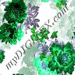 Colour:F