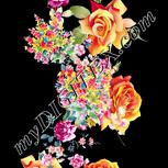 Colour:A