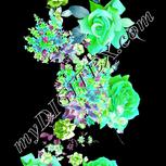 Colour:C
