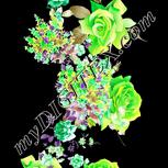 Colour:D