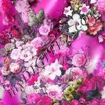 Colour:B