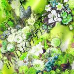 Colour:D